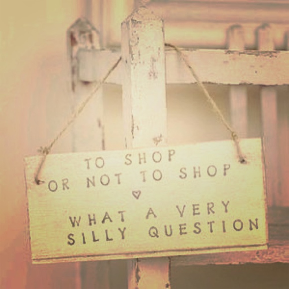To Shop or Not to Shop 👗👛